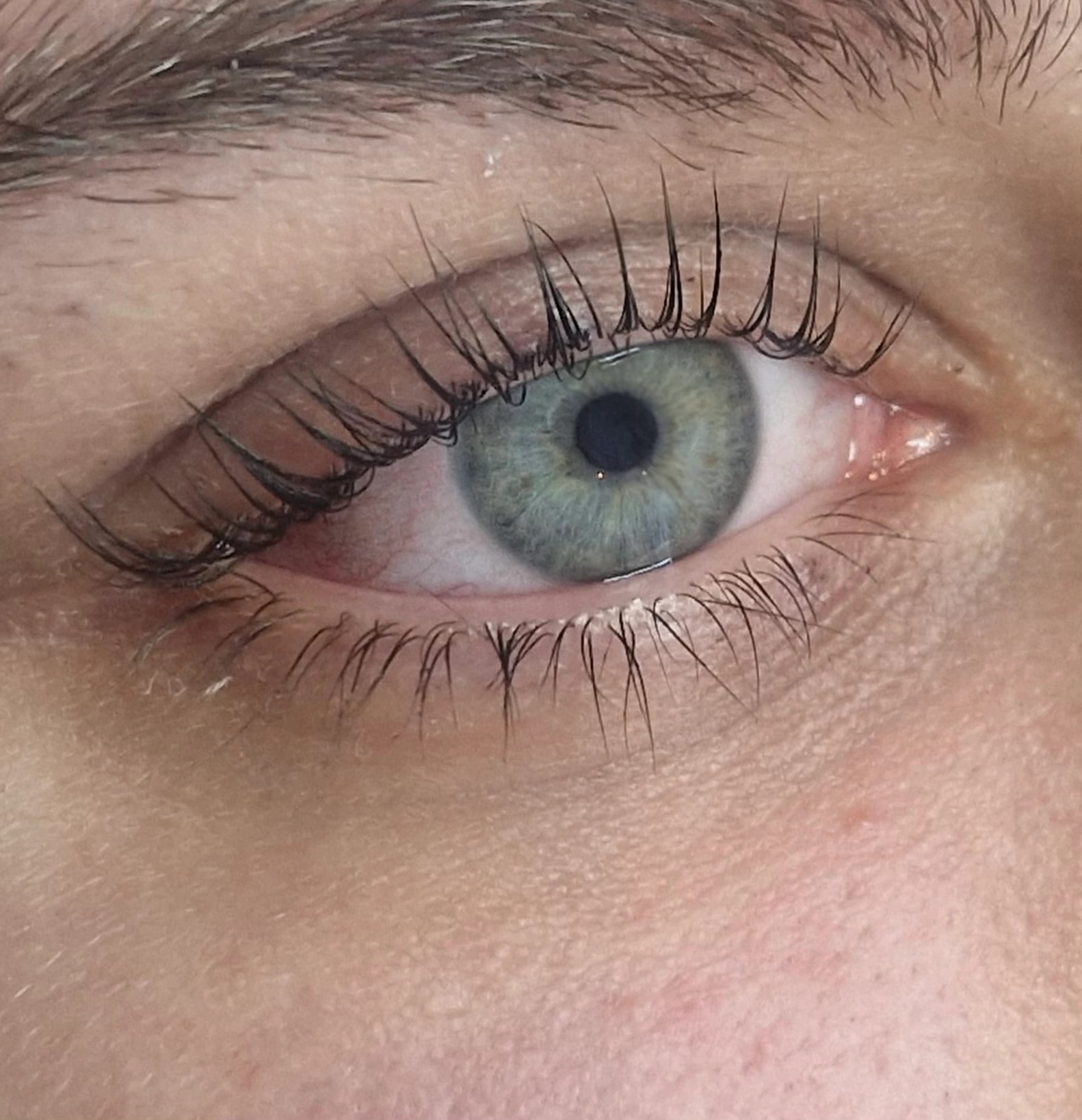 Korean Lash Lifting: Wimpern vor und nach dem Korean Lash Lifting