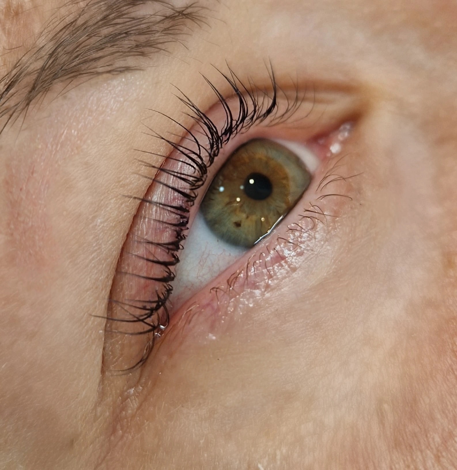 Aufgerichtete Wimpern nach dem Korean Lash Lifting